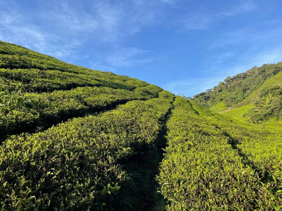 C1 Backpackers Hostel Cameron Highlands Zewnętrze zdjęcie